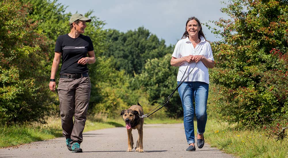 Hundeschule Pirate-Dogs Lübeck - Trainerin mit Frau und Hund beim Einzeltraining